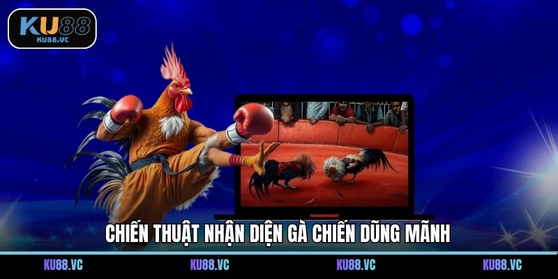 Chiến thuật nhận diện gà chiến dũng mãnh