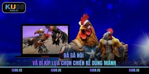 Đá Gà Nòi